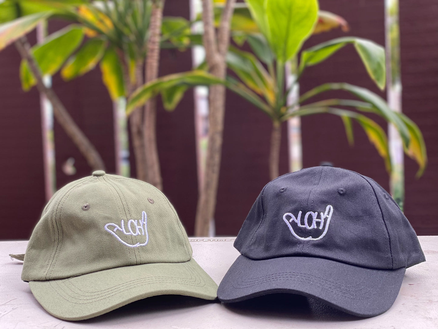 AKAHS Dad Hat